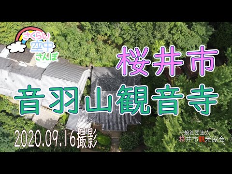 さくらい空中さんぽ　音羽山観音寺