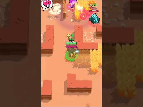 Баг на Виллоу в 2023 году