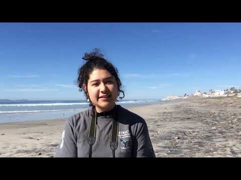 Abril Hinojosa |  2da edición Nuestro Océano | 2021