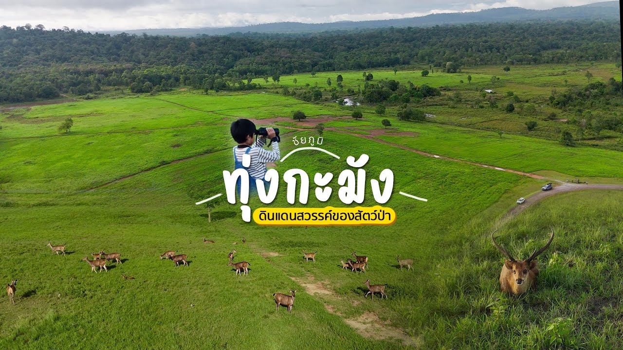 เขตรักษาพันธุ์สัตว์ป่าภูเขียว-ทุ่งกะมัง