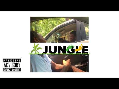 DJ REPTILE  -  JUNGLE STEP  - ( AFRIAD INSTRUMENTAL )  2018