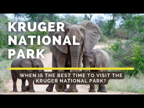 Kruger National Park - When is the best time to visit the Kruger National Park?
