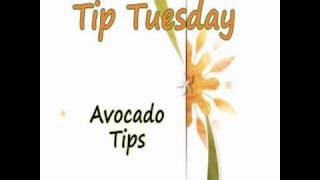 Avocado Tips