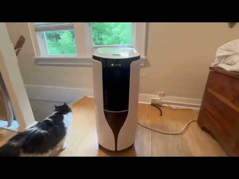 Gree 5,000 BTU DOE 8,000 BTU ASHRAE Portable Air Conditioner Review