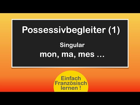 Possessive accompaniment singular/ French