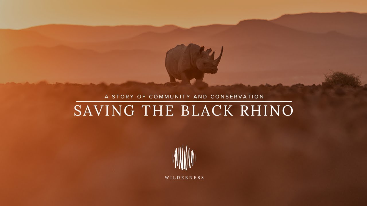 Wilderness & Save the Rhino Trust: A Story of Community and Conservation.