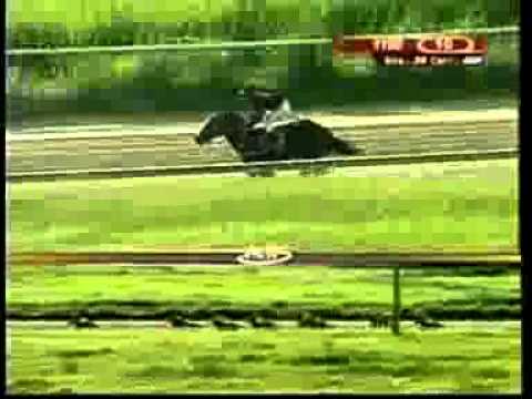 9na Carrera Valencia Viernes 01 Agosto