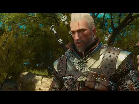 Witcher 3 Aerondight Cutscene Max Settings
