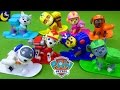 Paw Patrol Winter Rescue Snowboard Pup Toys Zuma Robo Dog Chase Marshall Skye Everest Snow Dog Toys