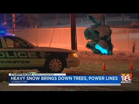 Heavy Snow Brings Down Trees, Power Lines
