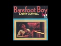Larry Coryell - Gypsy Queen