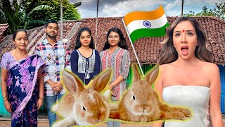 HOUSE RABBIT MAKEOVER: INDIA 🇮🇳 | Disabled Bunny Needs Help! | EPISODE 10