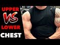 Low Cable Fly - UPPER vs LOWER Chest Emphasis