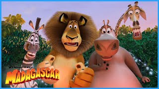 I Like to Move it, Move it! | Extended Preview | DreamWorks Madagascar