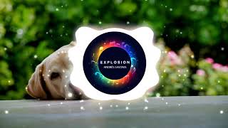 Video Palmera de Andrés Savonis