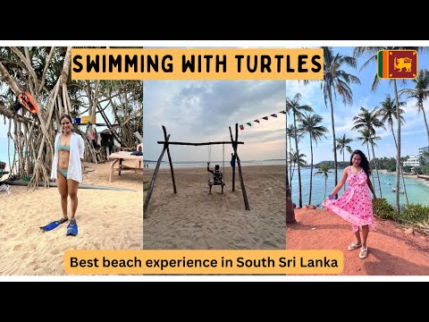 I swam with turtles in Mirissa | Best beach life of Sri Lanka | First impression of South Sri Lanka