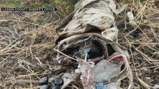 Caltrans crew discovered homemade bomb along Highway 395 in Susanville