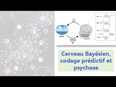 Cerveau Bayésien, codage prédictif et psychose