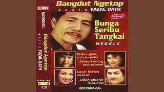 Download lagu Noer Halimah - Janur Kuning mp3