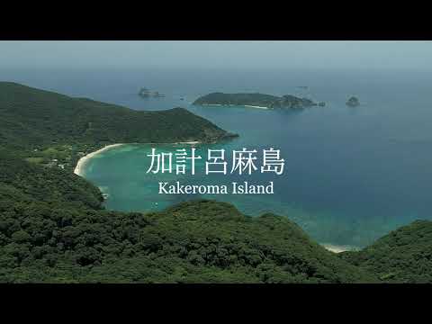 加計呂麻島（Kakeroma Island） | 奄美せとうち観光協会
