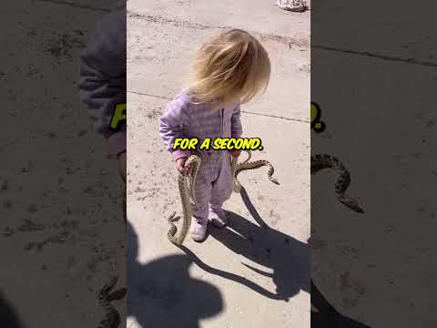 Toddler Caught Dual-Wielding Live Snakes Like a Boss