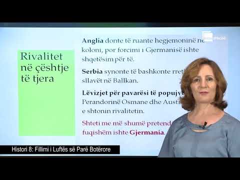 Fillimi i Luftës së Parë Botërore | Histori 8