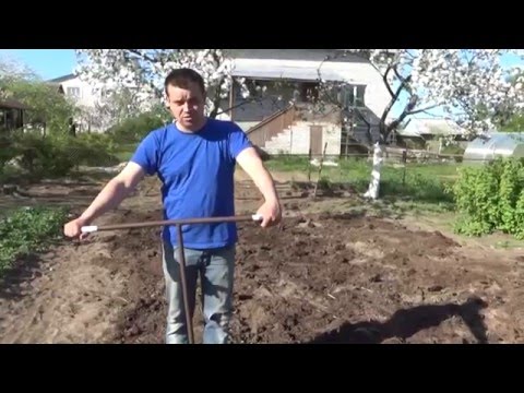 Абсцесса коленного сустава Фото супрапателлярная бурсит коленного сустава
