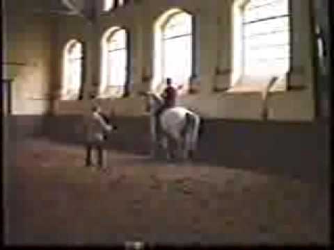 NeindorffChampus PiaffePassage StarkerTrab