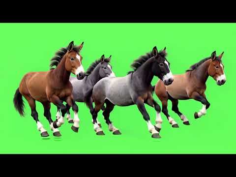 chroma mules