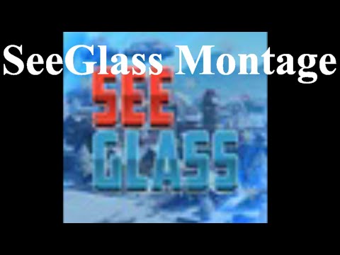 SeeGlass montage
