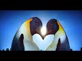 Happy Feet Opening Scene
