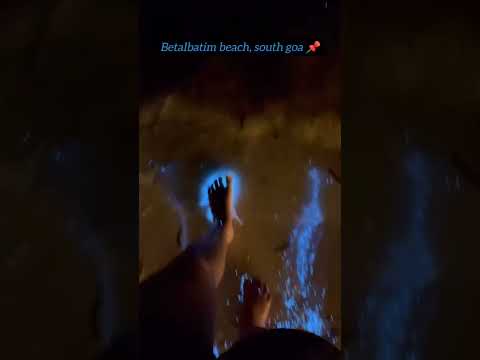 goainspires Betalbatim Beach, South Goa#GoaDiaries #BeachVibes#TravelGoals
