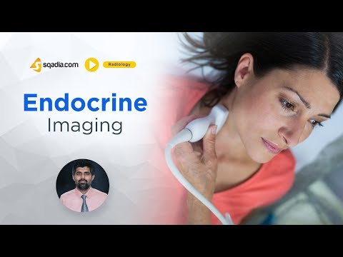 Endocrine Imaging | Medical Radiology Online Lectures | Doctors V-Learning | sqadia.com