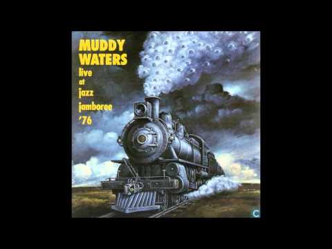 Muddy Waters - Live At Jazz Jamboree '76