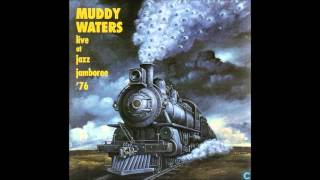 Muddy Waters - Live At Jazz Jamboree '76