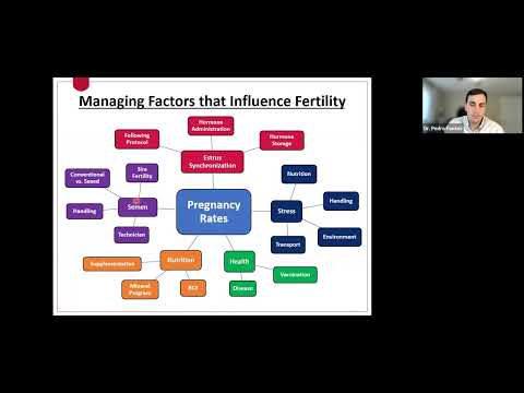 Factors Influencing Fertility and Pregnancy in Beef Cattle - Dr. Pedro Fontes