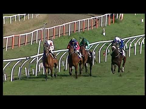 Galoppo 18/01/2021 - 1ª corsa