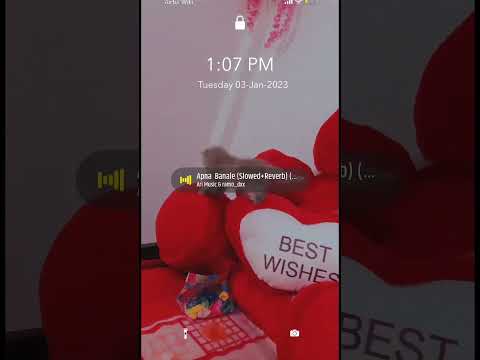 We love all animals 🐱#kitten #cat #cats #baby