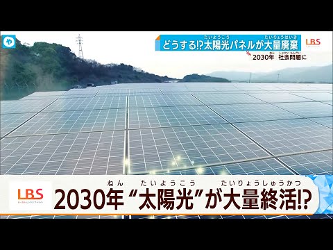 パンダベアの太陽光発電所は間もなくドイツに導入されますか?