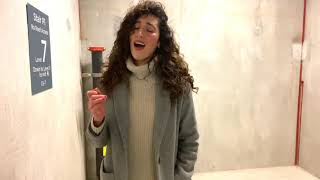 Pippin&#39;s Song &quot;Edge of Night&quot; from LOTR (High AND Low Version)