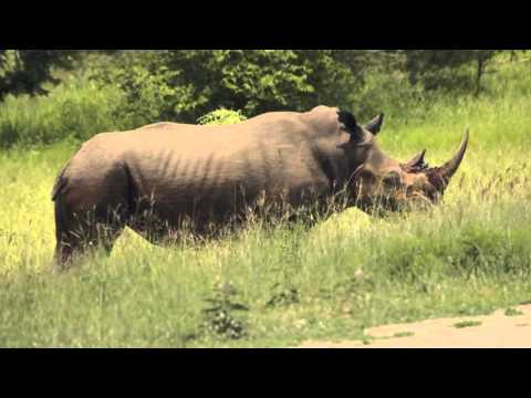 Rađanje zemlje S4 EP2 - Ponedjeljak 17:00