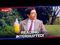 Bean S Crazy Picnic Mr Bean