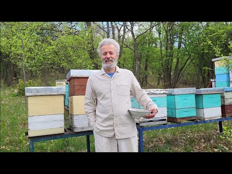 Prirodni preparat protiv varoe - KAS81