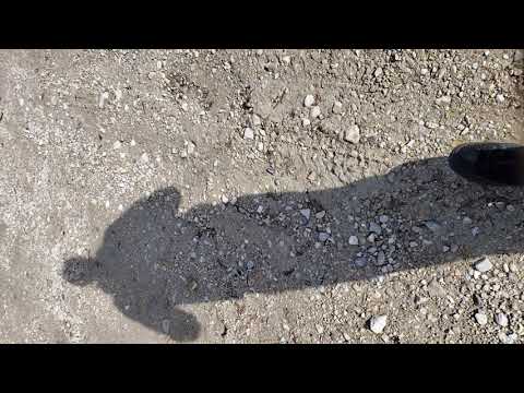 Shipping container cafe, first look!