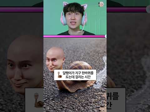 달팽이가 지구 한바퀴를 도는데 걸리는 시간😱
