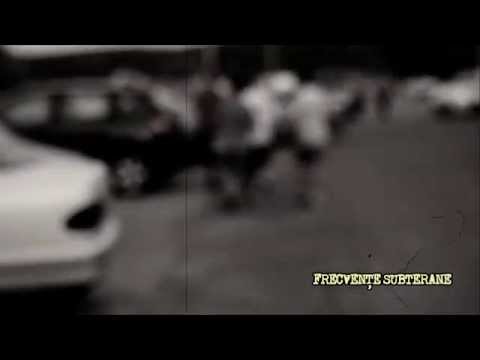 CYPHER BRĂILA: Insipid, Sub Checka