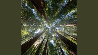 熟睡ギターBGM 睡眠の質を高めるヒーリング音楽...