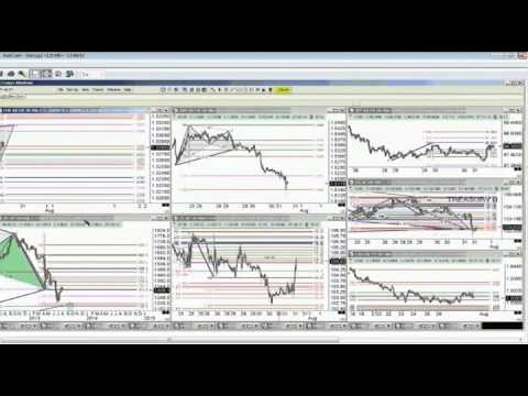 Jul 31st Trade What You See with host Larry Pesavento on TFNN   2013