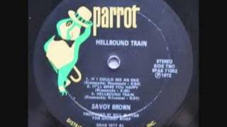 SAVOY BROWN- Troubled By These Days &amp; Times ( Video, by Tony D).wmv