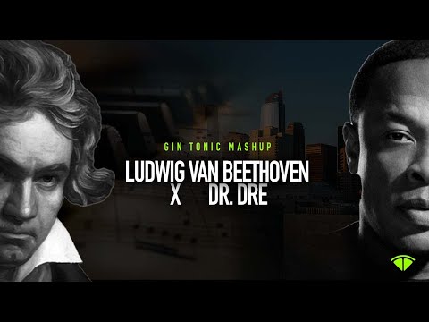 Moonlight Sonata 1st Movement x Still D.R.E. (GinTonic Mashup)